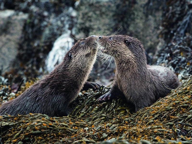 These two get up close and personal