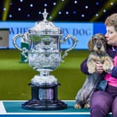 Maisie, the 2020 Crufts Best in Show winner, with owner Kim McCalmont.  