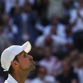 Irked by a heckler, Novak Djokovic asks for a score-check after his win over Cameron Norrie