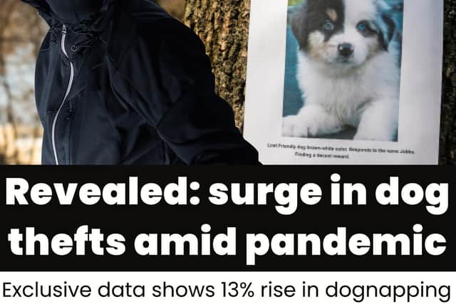 A 13 per cent rise in dog theft crimes during 2020 leads our front page