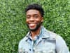 Chadwick Boseman jokes around with fans in clip shared as Black Panther stars honour anniversary of his death