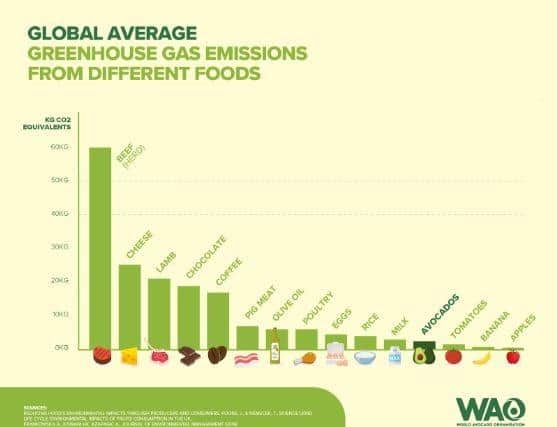 Global Average Greenhouse Gas Emissions