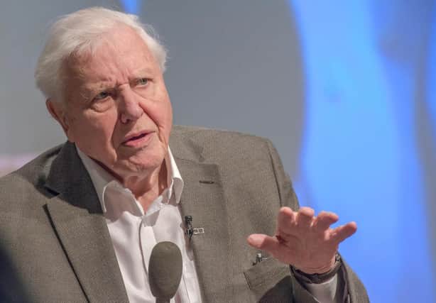 A colleague of David Attenborough's has revealed that he enjoyed aspects of lockdown (Getty Images)