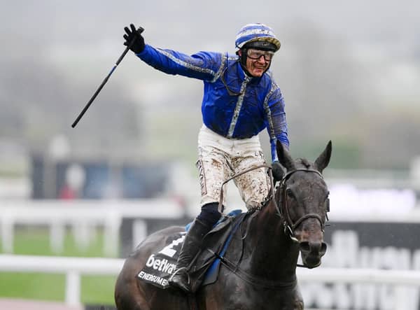 Defending champion: Paul Townend and Energumene celebrate after winning the Betway Queen Mother Champion Chase last year - and are aiming for a repeat today.