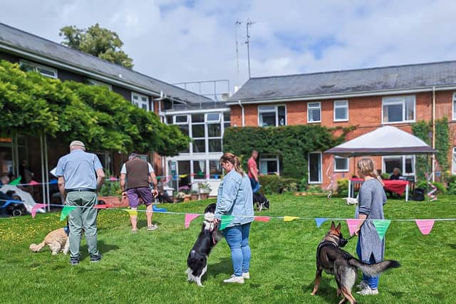 Cute Dogs and their Humans taking part in a previous 'Scruffies' at The Lawn Residential Care Home in Alton, Hampshire