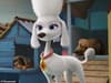 Kim Kardashian: who is star’s Paw Patrol: The Movie character Delores the poodle - and how to watch trailer