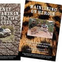 The three new books by investigative conservationist Eduardo Gonçalves - Animal News Agency