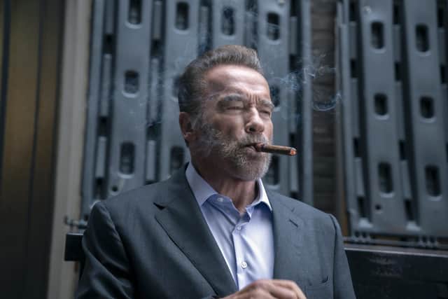 Arnold Schwarzenegger appeared on Netflix screens last month in Fubar