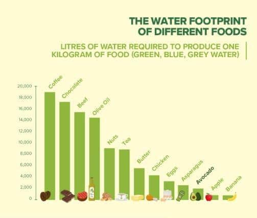 Water Footprint of Different Food