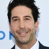 David Schwimmer said fiming for the special will begin next week (Photo: Getty Images)