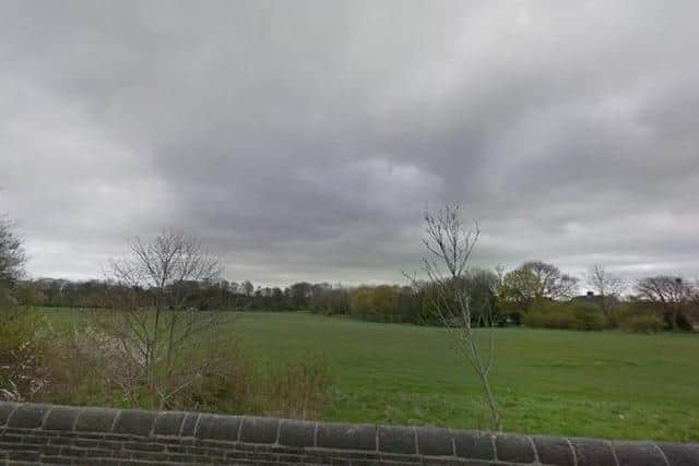 A woman was kicked and punched in her ribs and face as she tried to protect her pet from an attempted dog napping incident in a West Yorkshire park (Photo: Yorkshire Evening Post/JPI Media)