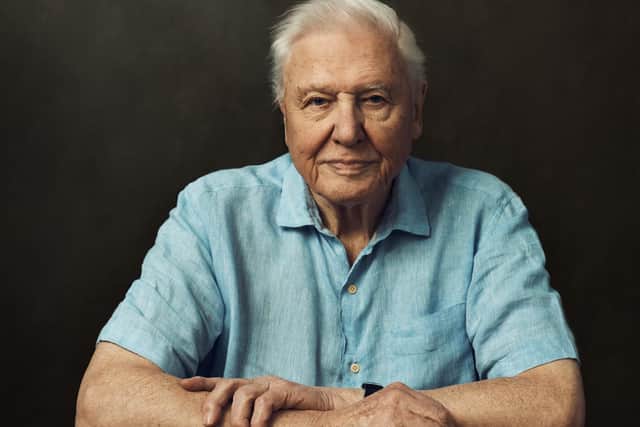 Sir David Attenborough is our guide for Frozen Planet II
