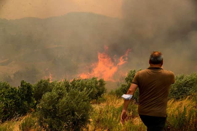 People extinguish bushes in flame during a massive forest fire which engulfed a Mediterranean resort region on Turkey's southern coast (Photo: ILYAS AKENGIN/AFP via Getty Images)
