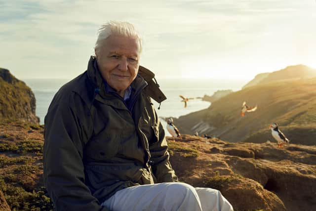 The BBC will not broadcast Attenborough episode over fear of right-wing backlash according to reports in The Guardian