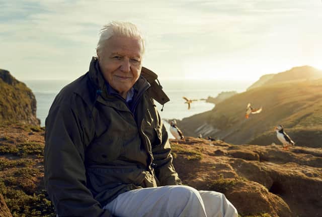 The BBC will not broadcast Attenborough episode over fear of right-wing backlash according to reports in The Guardian
