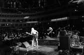 The Molotovs at the Royal Albert Hall