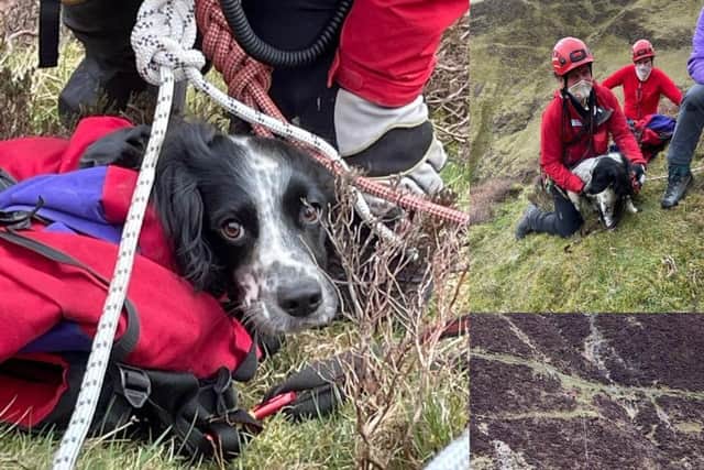 Louis had to be saved by mountain rescuers after falling 300ft down a waterfall (Moffat Mountain Rescue)