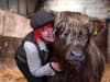 Dumble Farm: Yorkshire farm overwhelmed with requests for hosts cow cuddling experiences