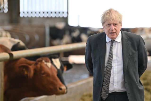 During a visit to Wrexham, Johnson said 'unfortunately there probably will be another wave of the disease' (Photo: Paul Ellis - WPA Pool/Getty Images)