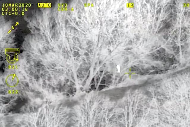 Helicopter tracks gang hiding in a tree trunk (Photo: North Yorkshire Police / SWNS)