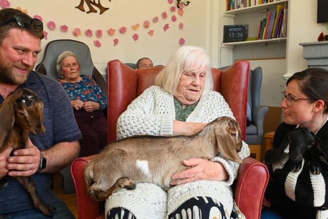 Visit from newborn goats is 'a real joy' for animal-loving Glebe House ...