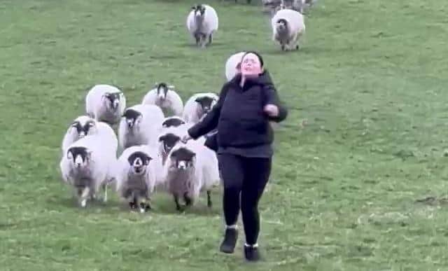 Chloe Jervis was chased down a hill by a flock of sheep in  in Edale