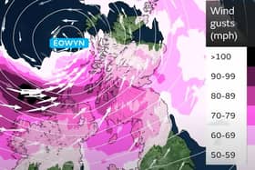 The Met Office's forecast for winds as of 9am on Friday