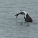 Who fancies fresh fish for breakfast?