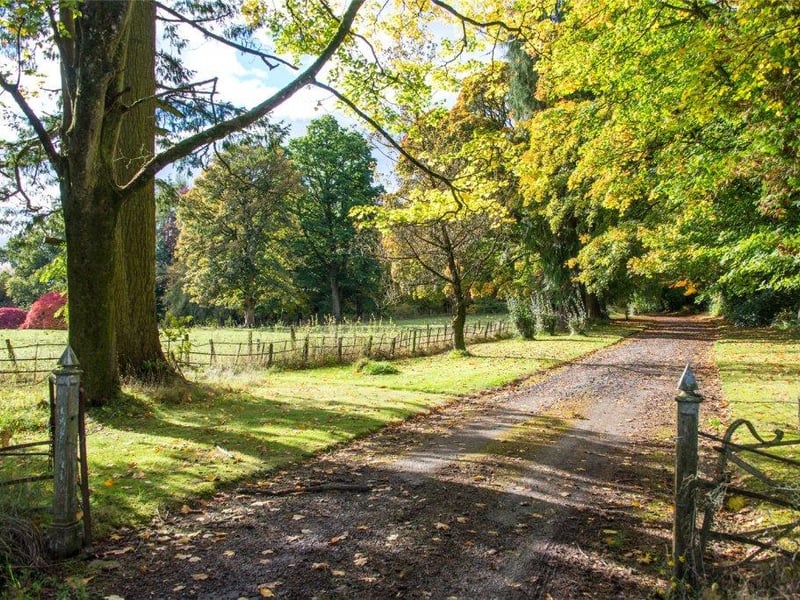 Driveway.