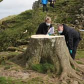 Forensic investigators from Northumbria Police examine the felled Sycamore Gap tree, on Hadrian's Wall in Northumberland. Picture: Owen Humphreys/PA Wire
