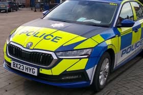 Two teenagers died in a crash in Surrey last night