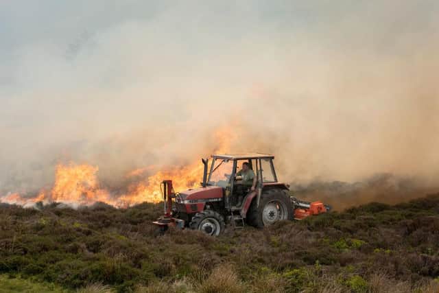 2019 saw the highest number of wildfires in the UK since records began.