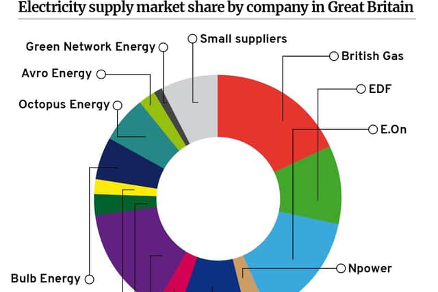 Ofgem, the country’s government regulator for energy markets, has published figures detailing the percentage market share of Britain’s electricity supply from the end of 2020. (Graphic: Mark Hall / NationalWorld)