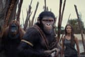 The latest Planet of the Apes film is in cinema - but how to watch prior movies?