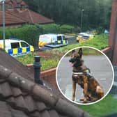 PD Jax, a Malinois aged around 7 years, was shot dead after becoming aggressive and biting his handler during a police operation in Walton-le-Dale on Thursday, August 3