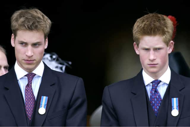 William and Harry's often fraught relationship with the media is explored in The Princes and the Press