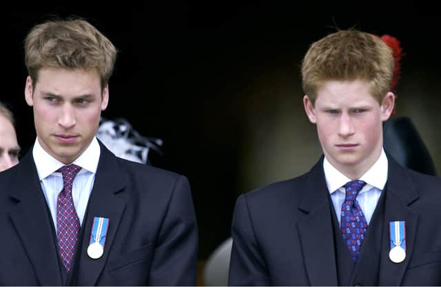 William and Harry's often fraught relationship with the media is explored in The Princes and the Press