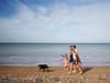 Watch: UK beaches - Can I walk my dog on the beach?