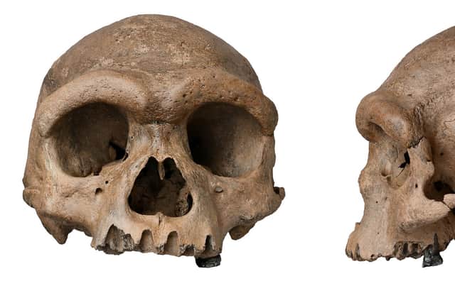 The Harbin cranium, which was reportedly discovered in China in 1933. (PA)