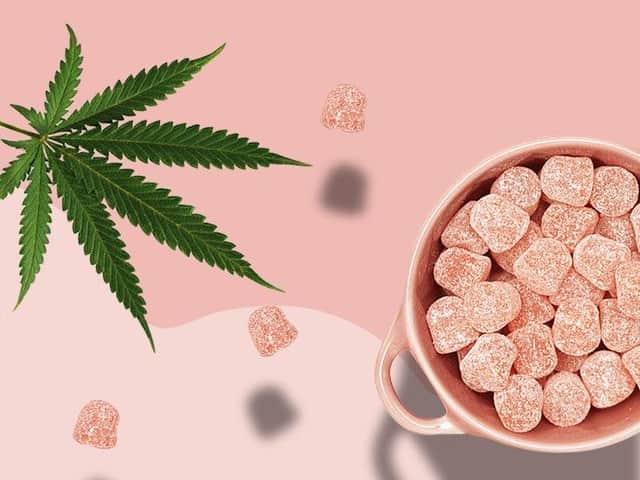 What to ask before  you buy CBD gummies: