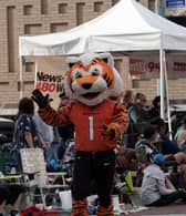 America's favorite mascots are revealed in new study