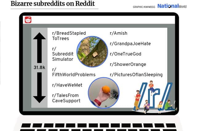 Have you ever heard of these subreddits before? (Graphic: Kim Mogg // JPI Media)