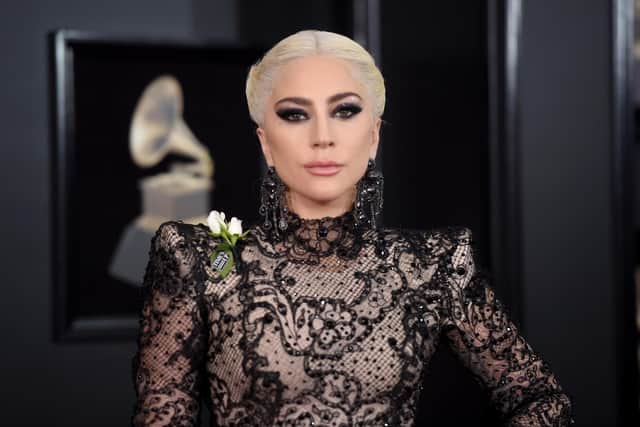 Recording artist Lady Gaga was the victim of dognapping in February 2021. (Jamie McCarthy/Getty Images)