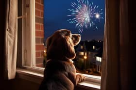 Dogs and New Year's fireworks are a big talking point every year. Picture: Adobe Photos