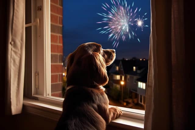 Dogs and New Year's fireworks are a big talking point every year. Picture: Adobe Photos
