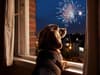 New Year's Eve fireworks: Expert tips on how to keep your dog calm
