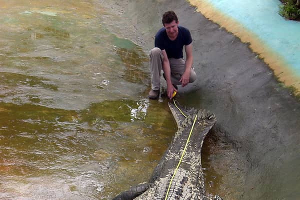 Yorkshire-born crocodile expert Adam Britton has had his sentencing delayed after admitting to 60 charges of bestiality, animal abuse and possession of child sex abuse images. (Photo: RICHARD GRANDE/AFP via Getty Images)