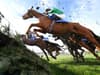 Grand National: Aintree race delayed after Animal Rising protest at racecourse