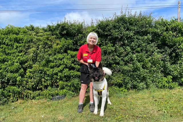 Volunteer Angela Coveney-Griffiths and Murphy, the one-and-a-half-year-old Akita Cross