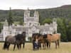 Balmoral redundancies and big changes on way because 'King doesn't want to farm anymore'